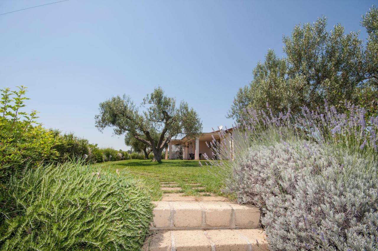 Agriturismo Il Mirto 佩夏罗马纳 外观 照片
