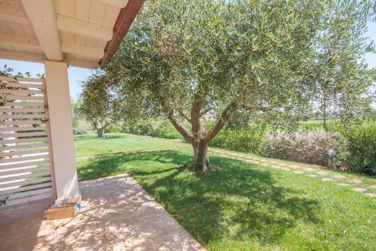 Agriturismo Il Mirto 佩夏罗马纳 客房 照片